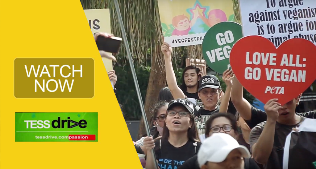Manila Animal Rights MArch 2019 Philippines