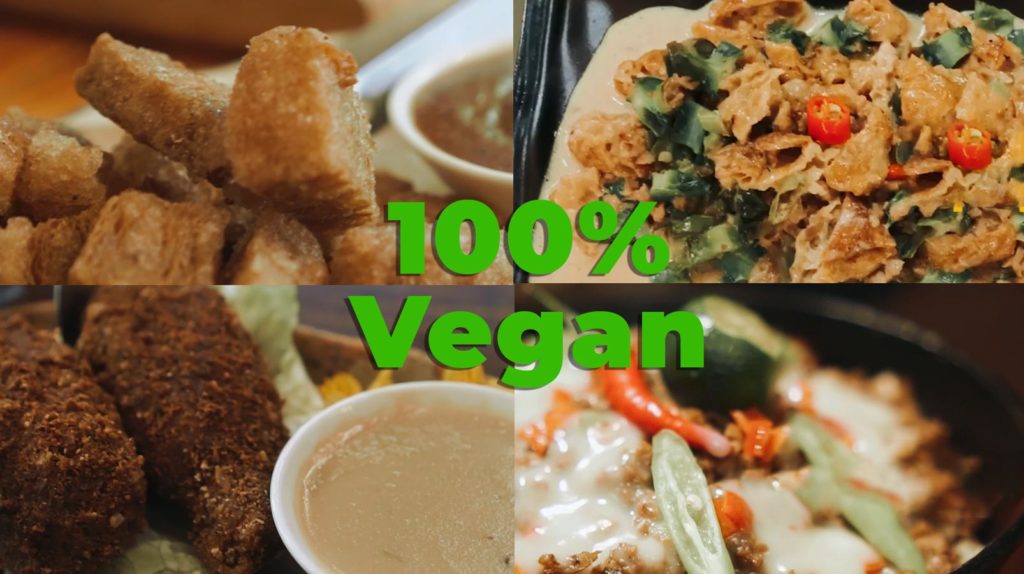 100% vegan food