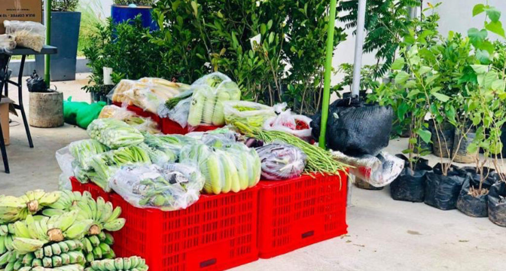 Fruits and vegatables on display at Petron's Kadiwa Market initiative