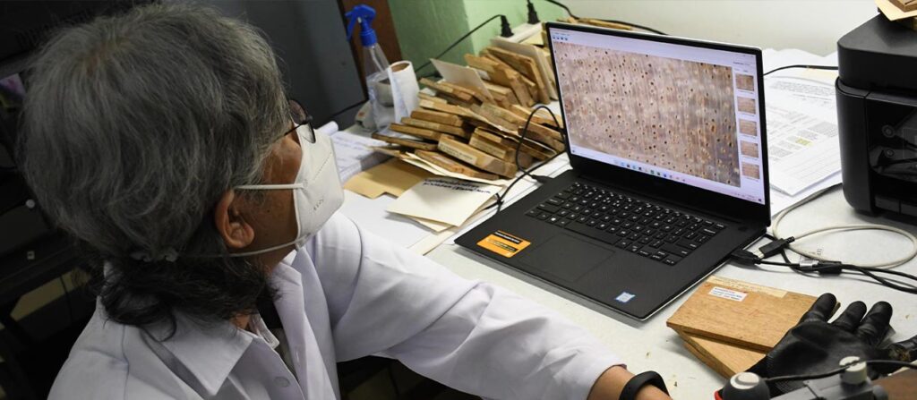 Estudillo-examines-a-wood-sample-using-a-digital-microscope