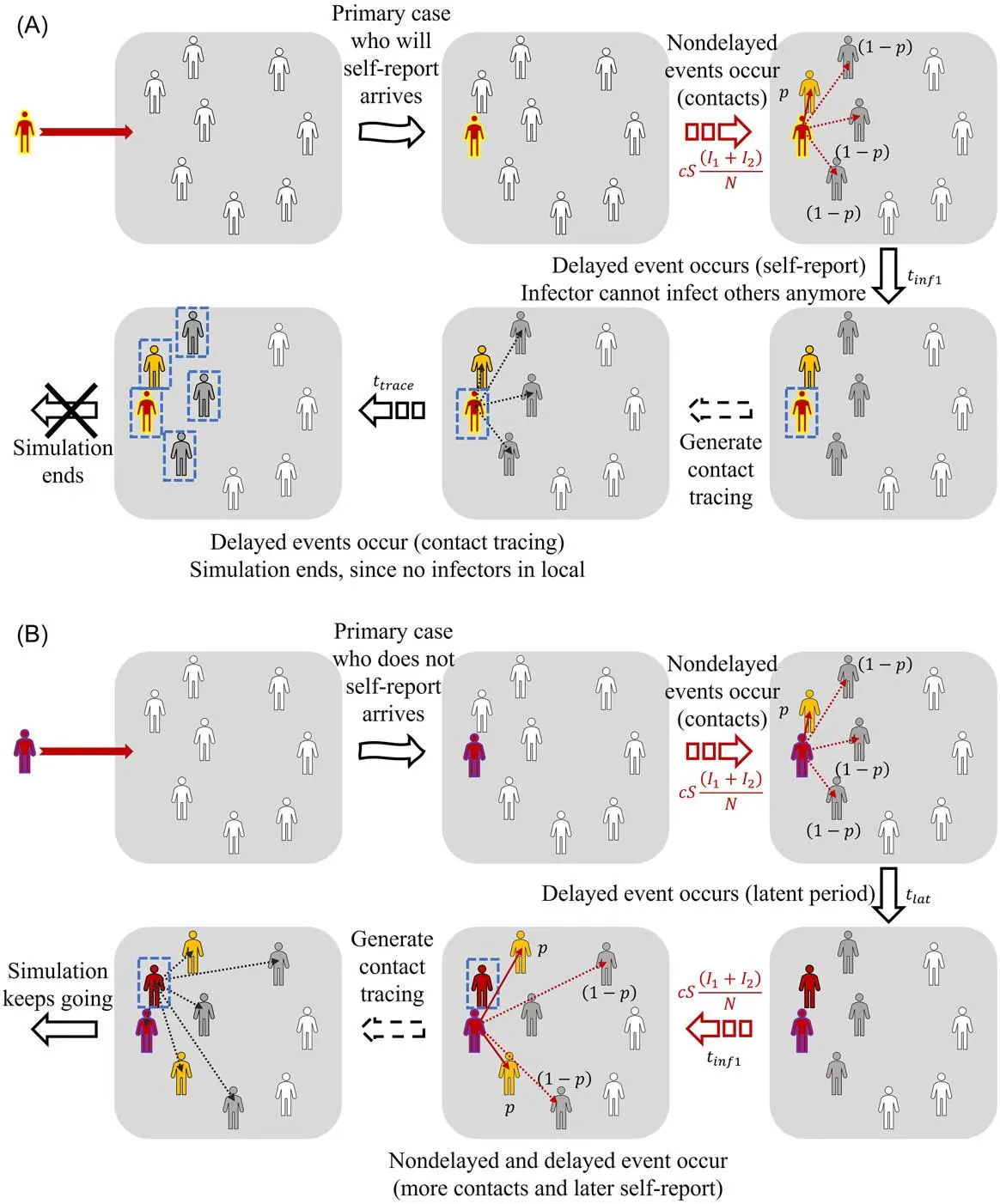 Math experts develop algorithm simulating Mpox spread | TESSDrive™